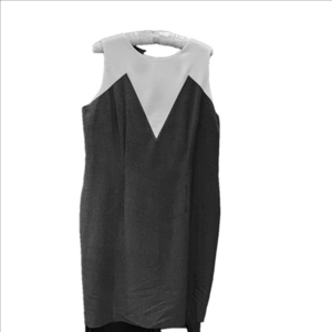ANN TAYLOR DRESS